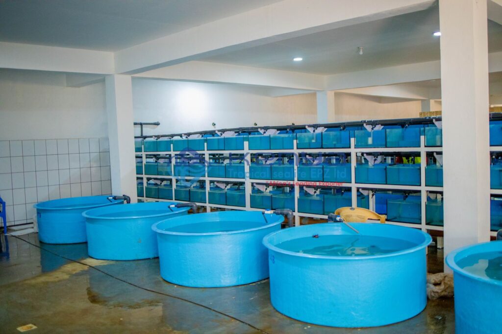 Africa's Leading Exporter